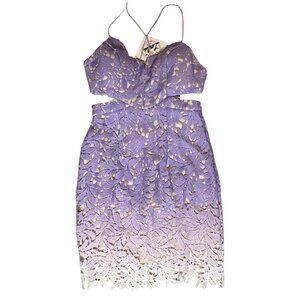 NWT Leslie Ombre Mini Dress